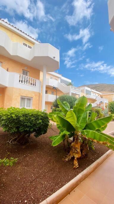 Golden Suite Ocean View & Pool Los Cristianos  Exterior photo